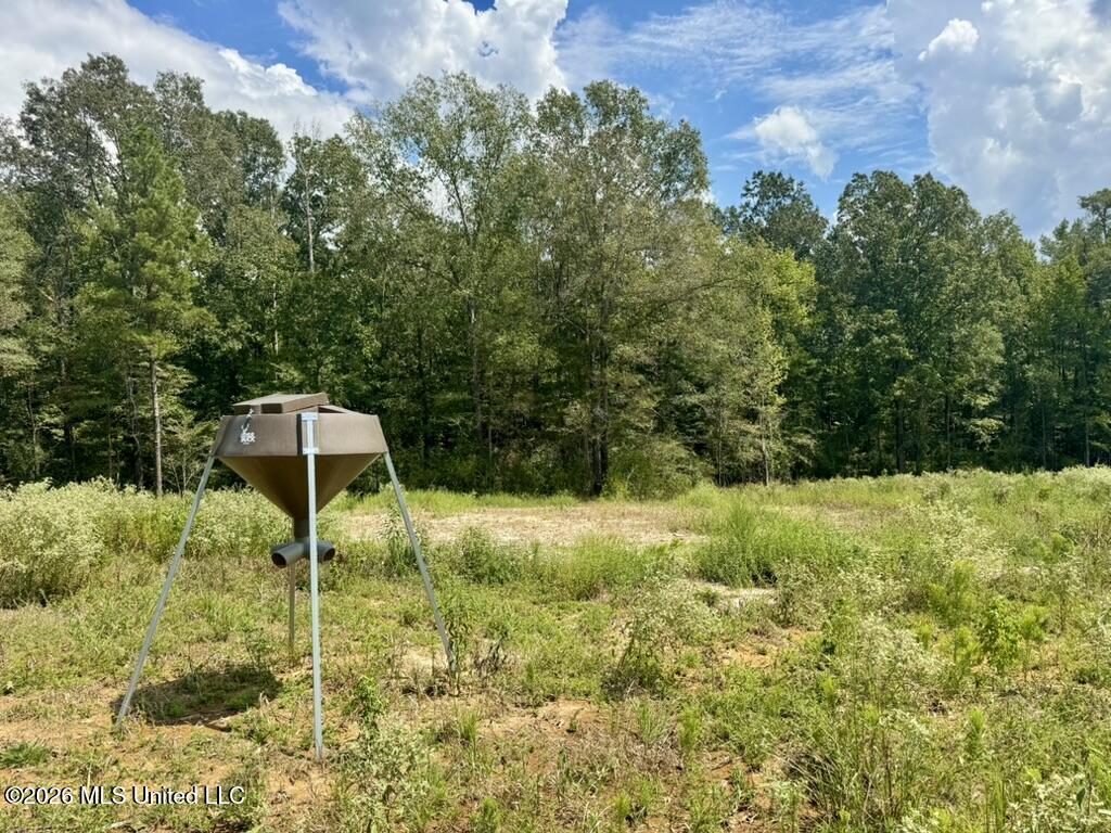 0001 Chapel Hill Road Property Photo 100