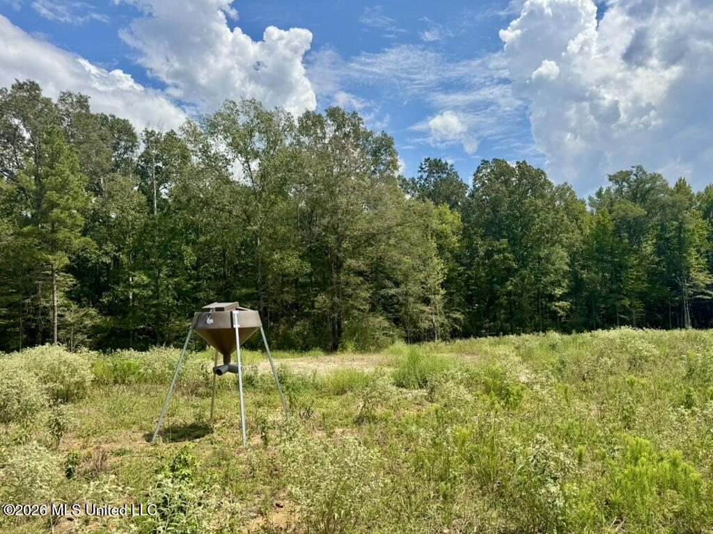 0001 Chapel Hill Road Property Photo 106