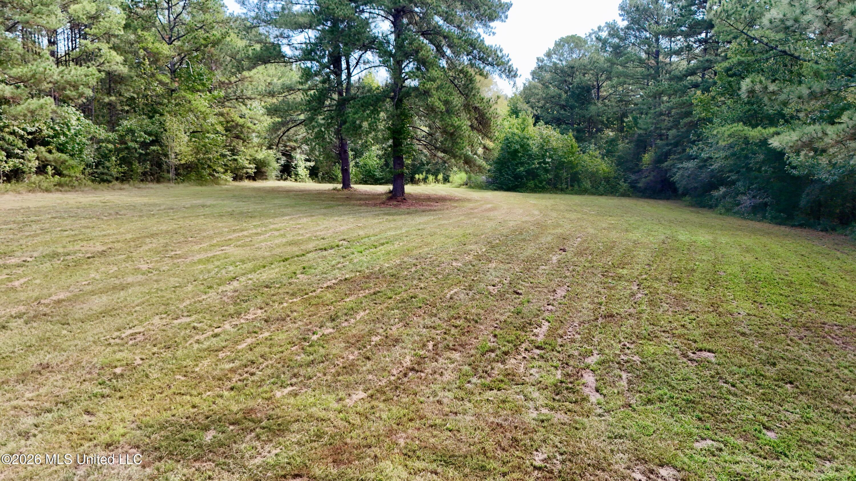 2710 Simpson Hwy 469 Property Photo 61