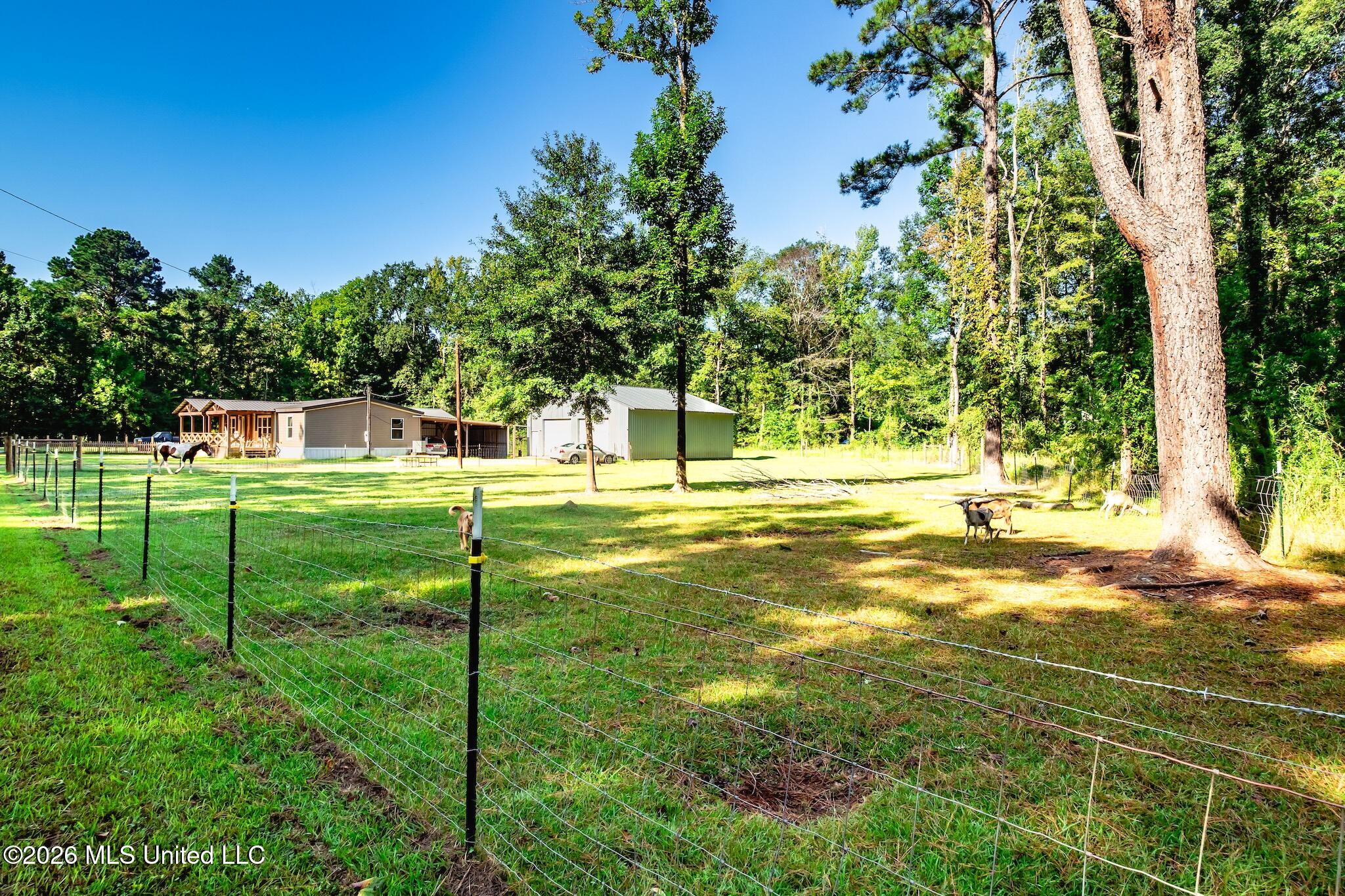 110 Hickory Ridge Cove Property Photo 4