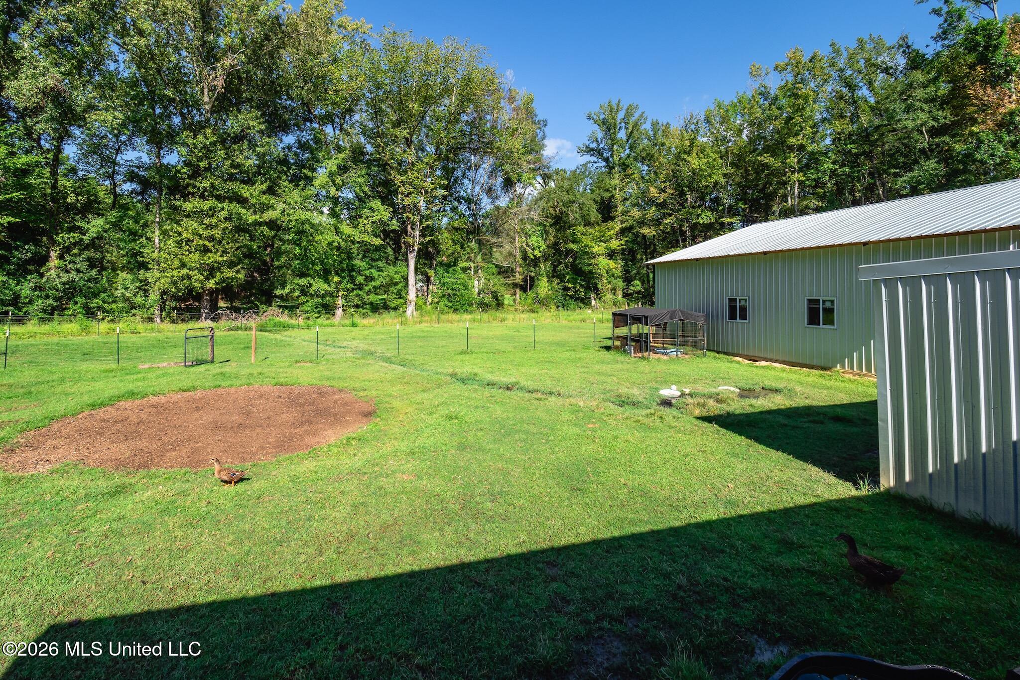 110 Hickory Ridge Cove Property Photo 25