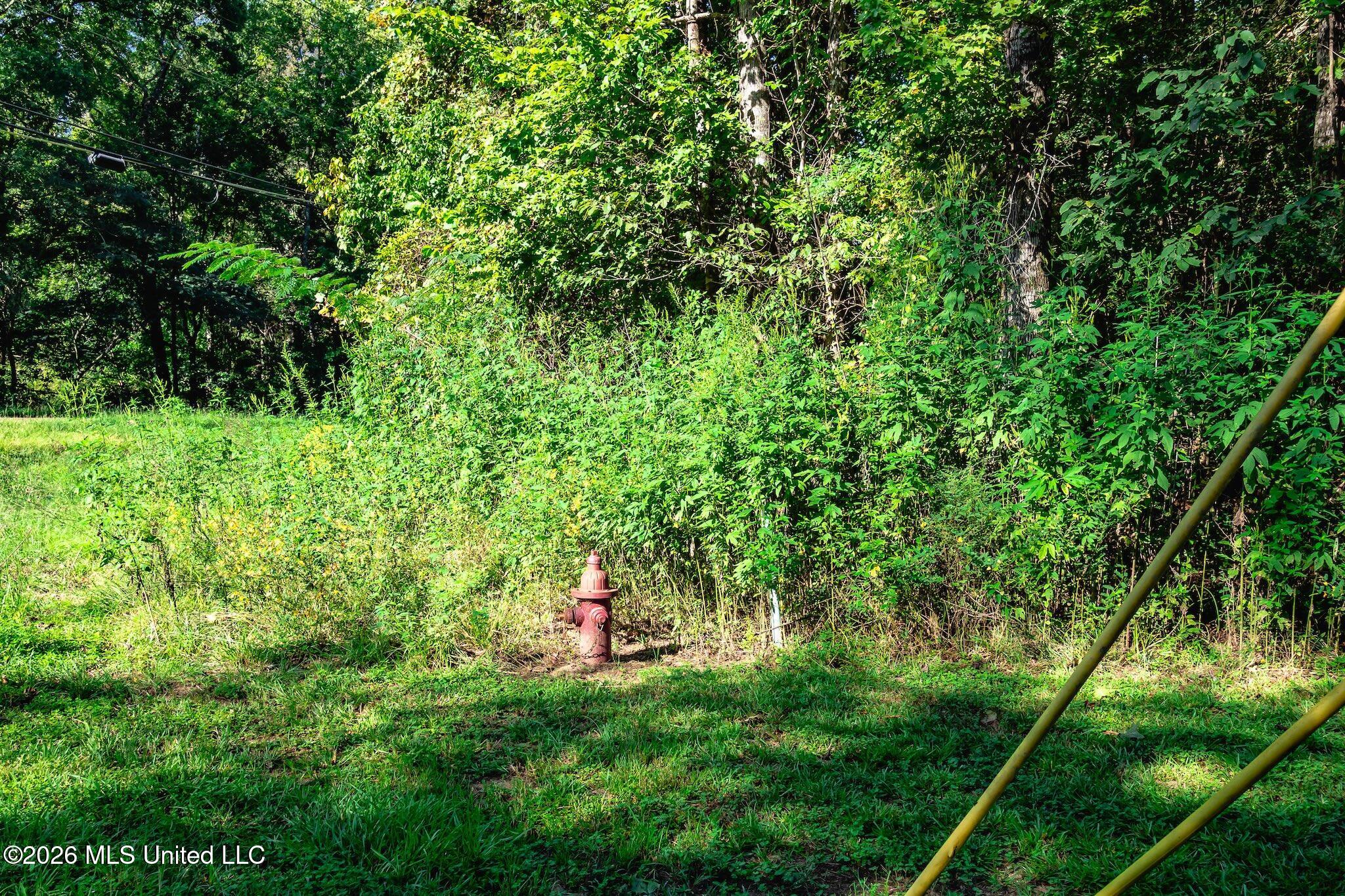 110 Hickory Ridge Cove Property Photo 28