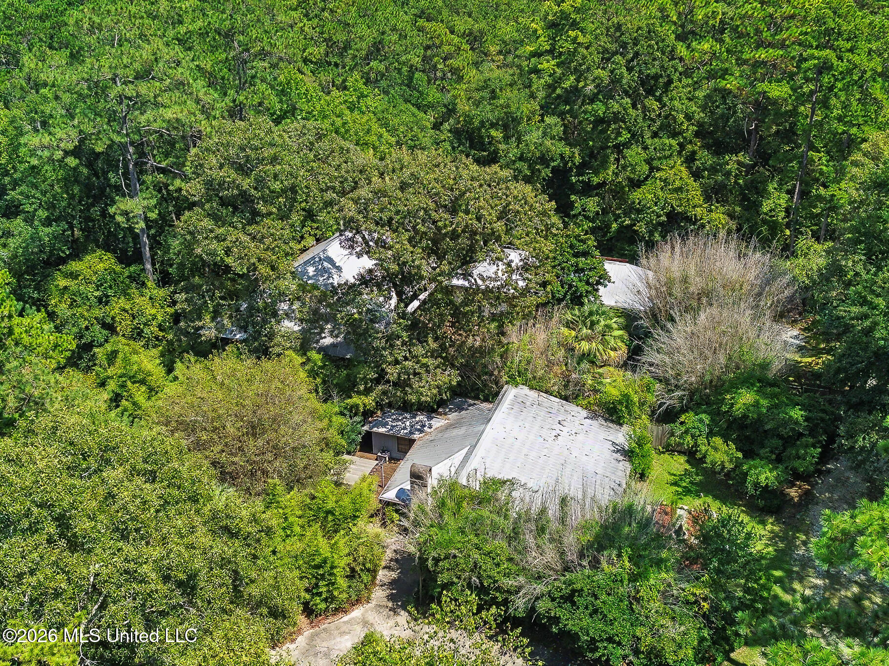 32 Francis Burge Road Property Photo 50