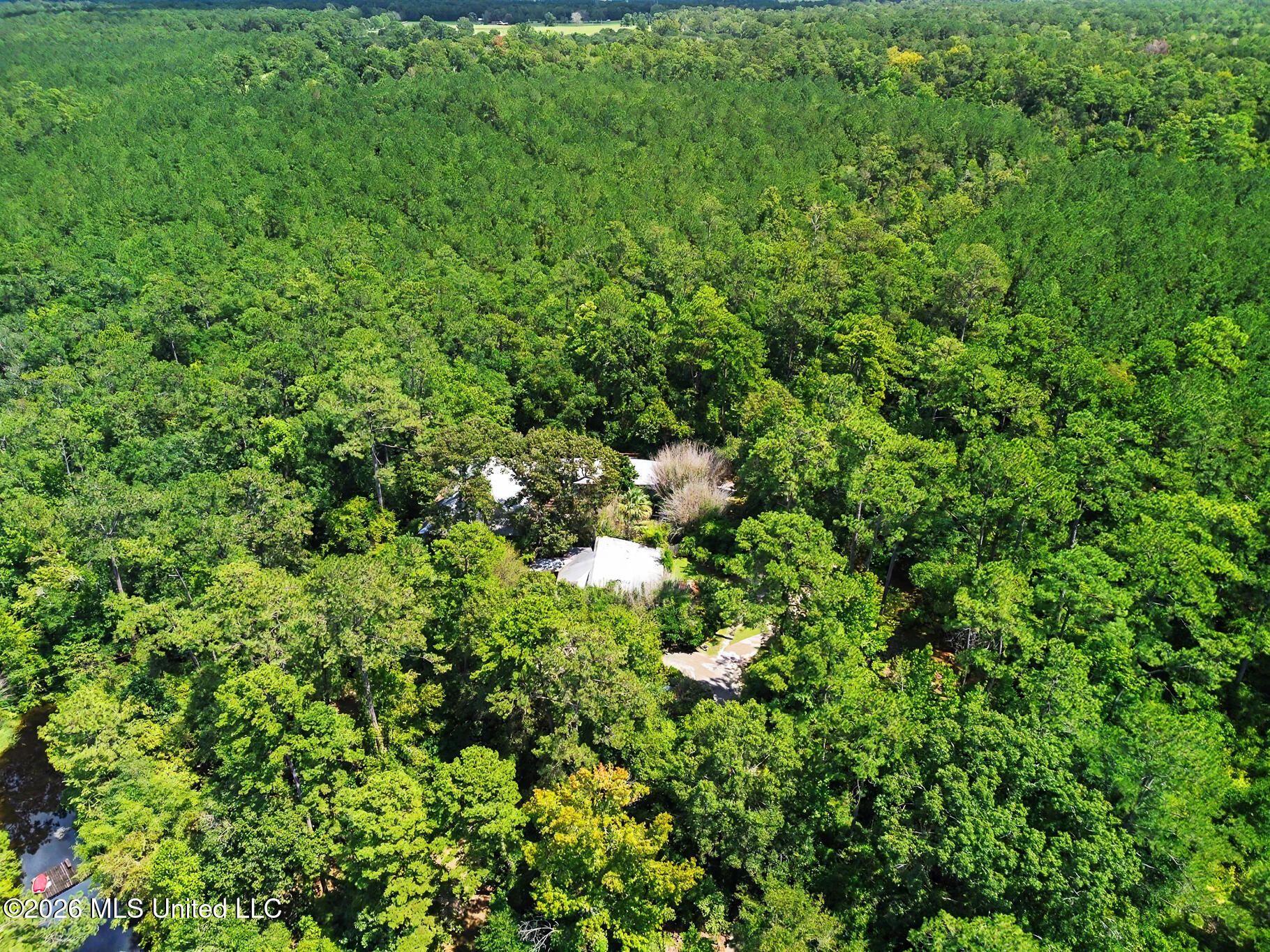 32 Francis Burge Road Property Photo 51