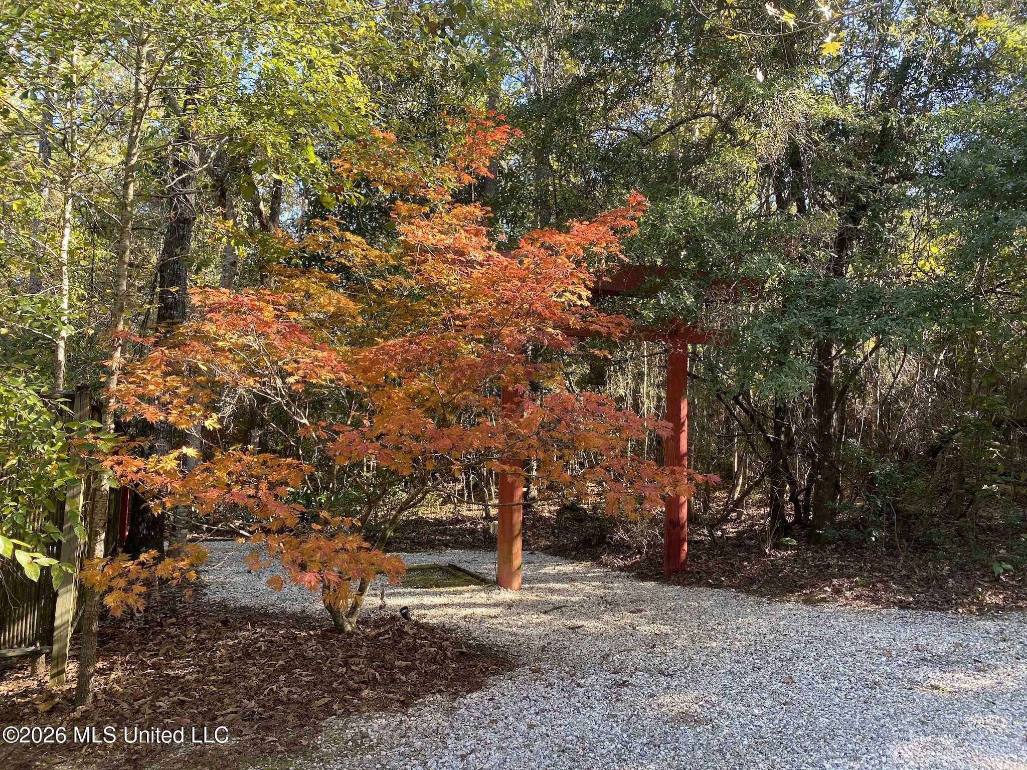 32 Francis Burge Road Property Photo 55