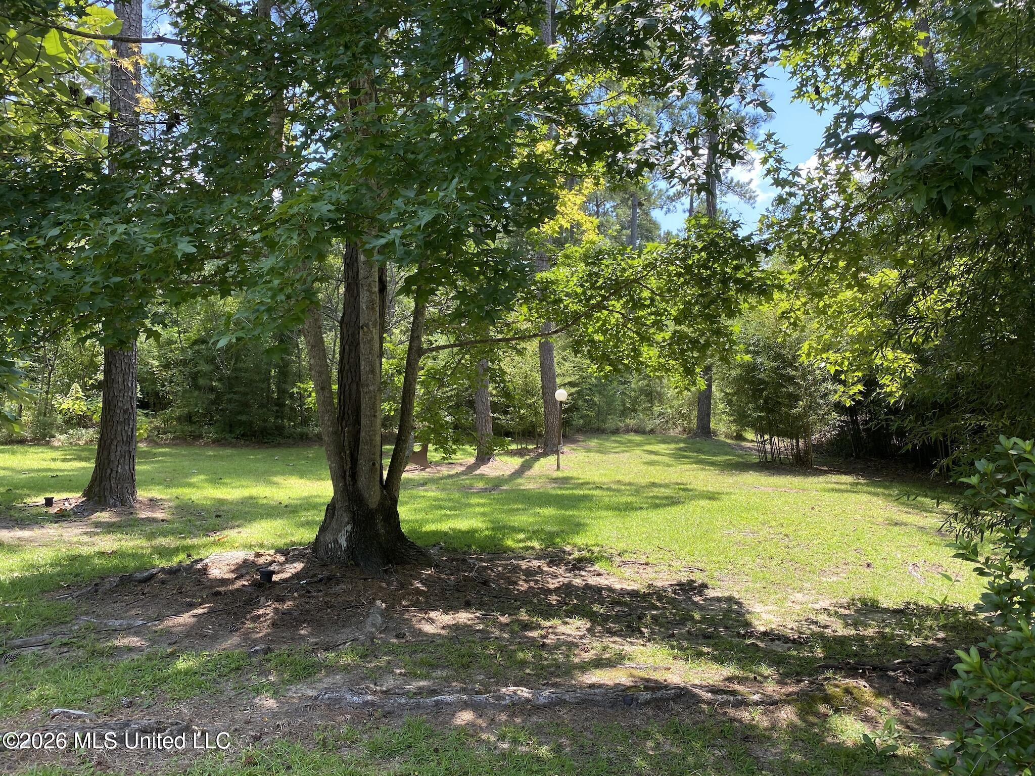 32 Francis Burge Road Property Photo 56
