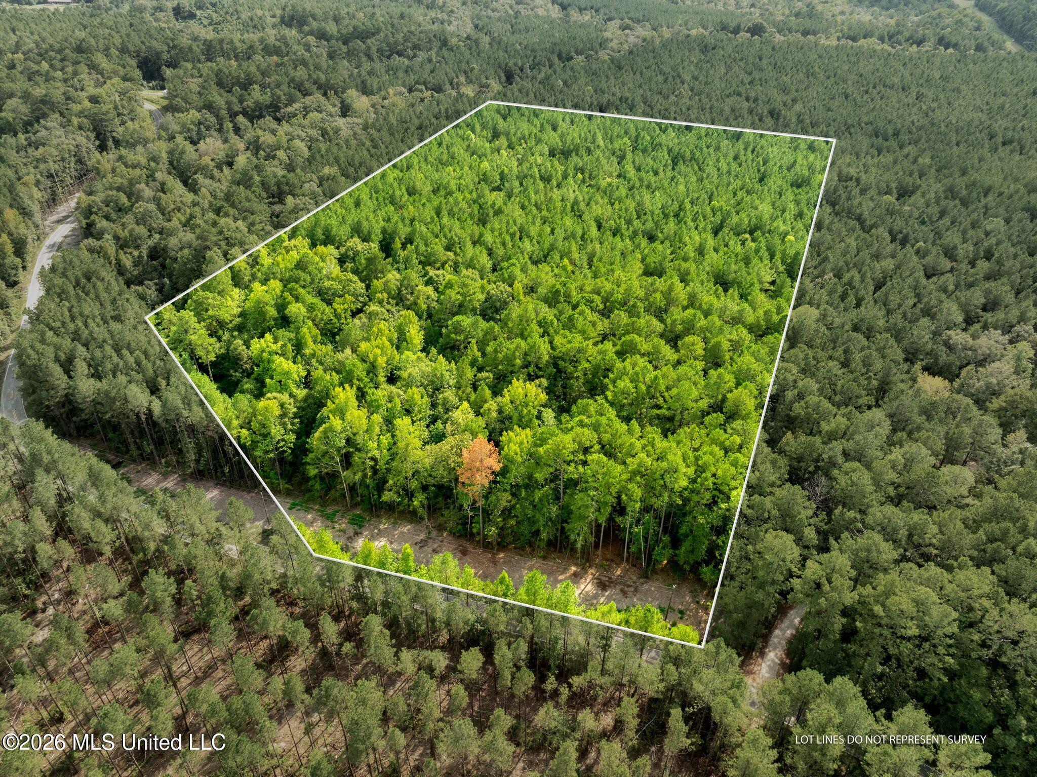 15 Acres Porter Hudson Road Property Photo 1