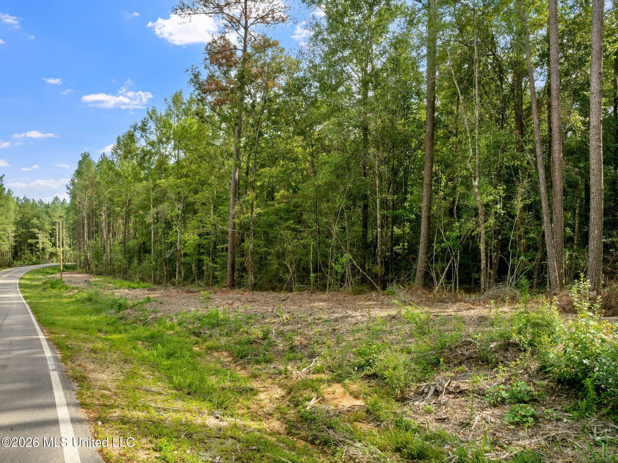 15 Acres Porter Hudson Road Property Photo 2