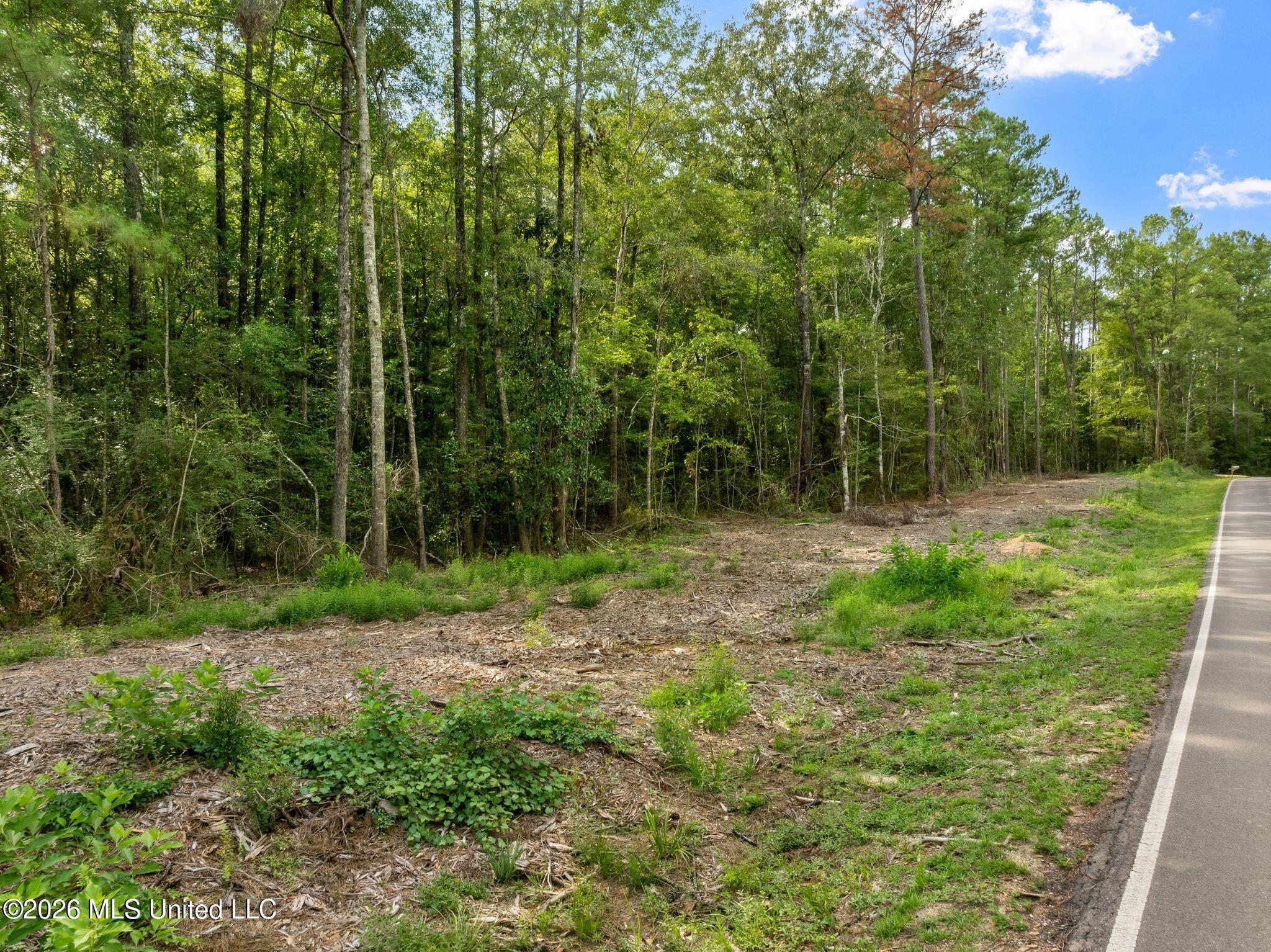 15 Acres Porter Hudson Road Property Photo 3