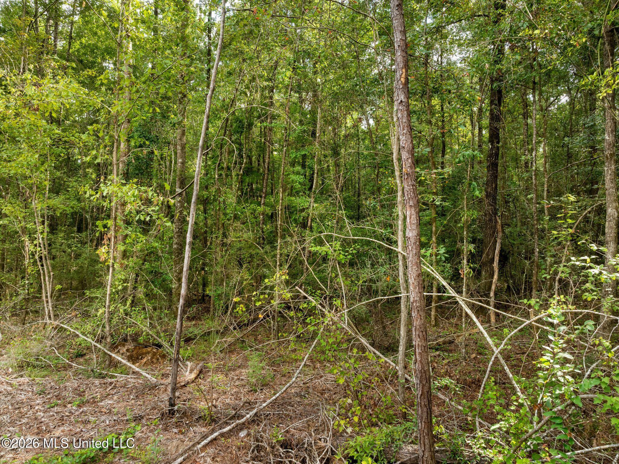 15 Acres Porter Hudson Road Property Photo 4