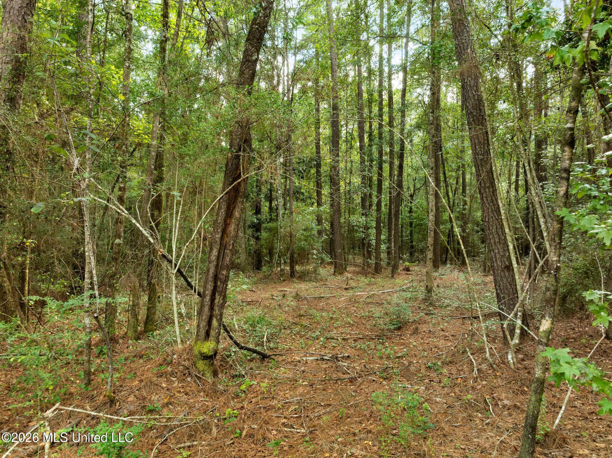 15 Acres Porter Hudson Road Property Photo 5