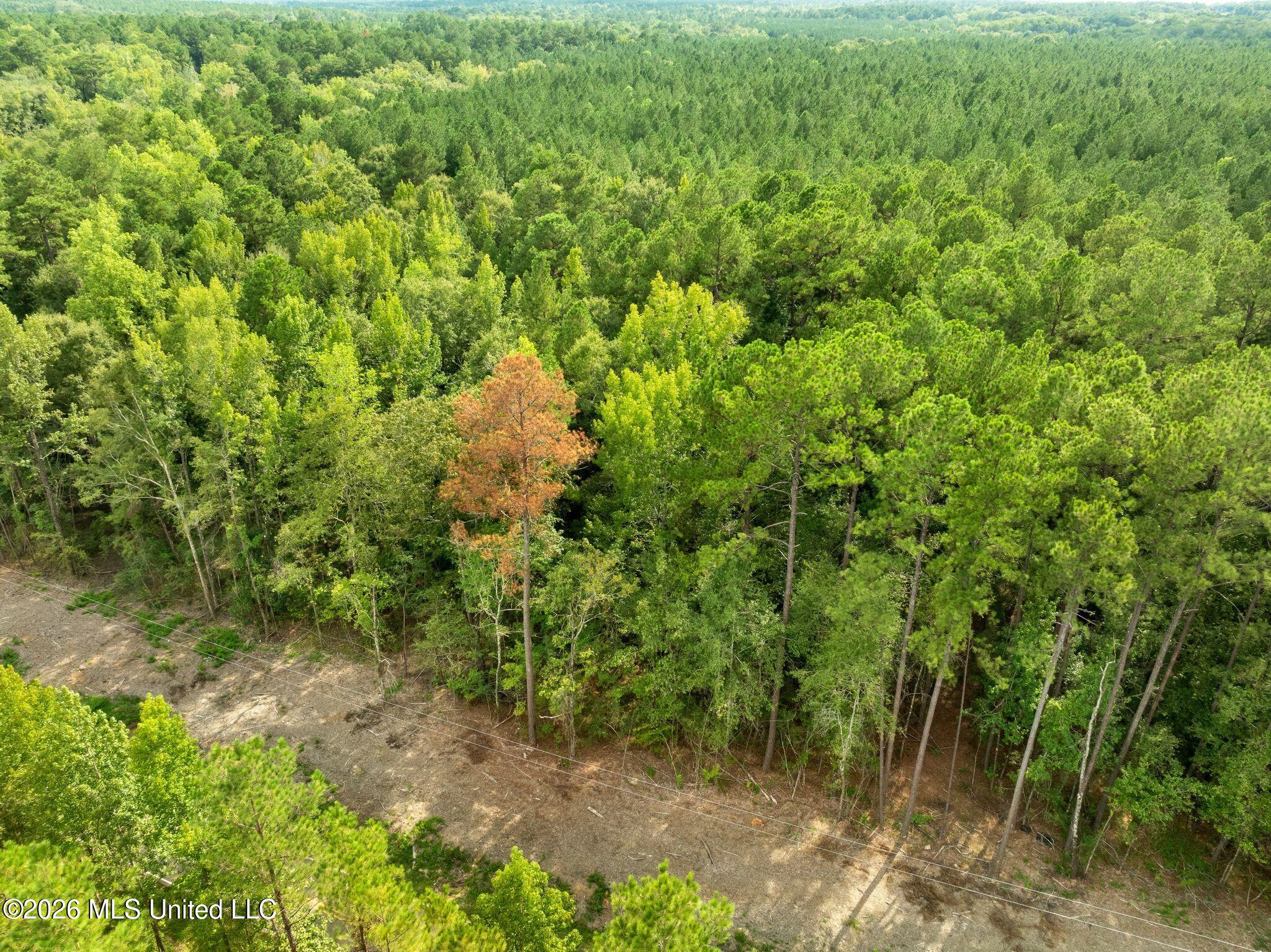 15 Acres Porter Hudson Road Property Photo 6