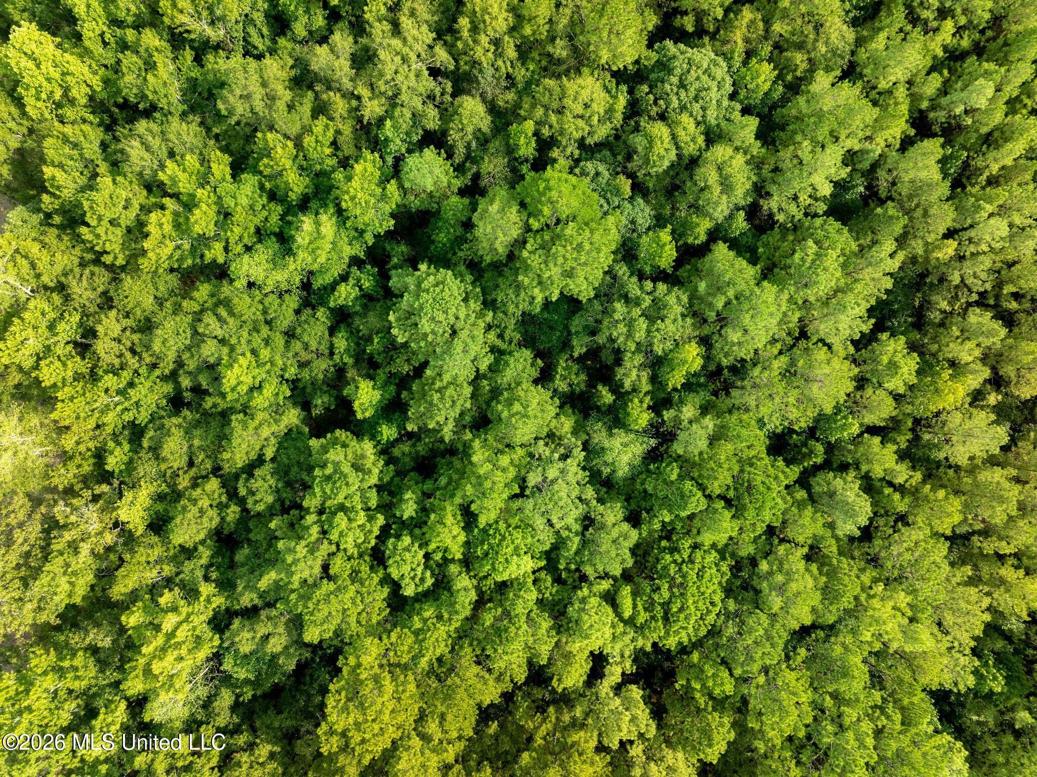 15 Acres Porter Hudson Road Property Photo 7