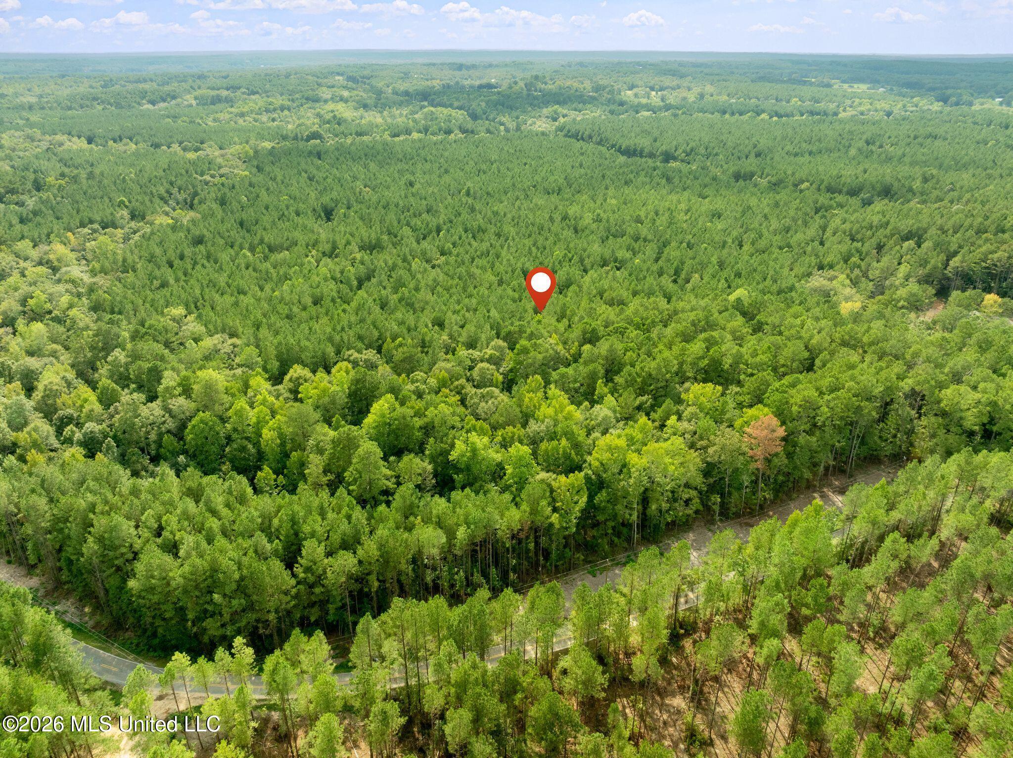 15 Acres Porter Hudson Road Property Photo 9