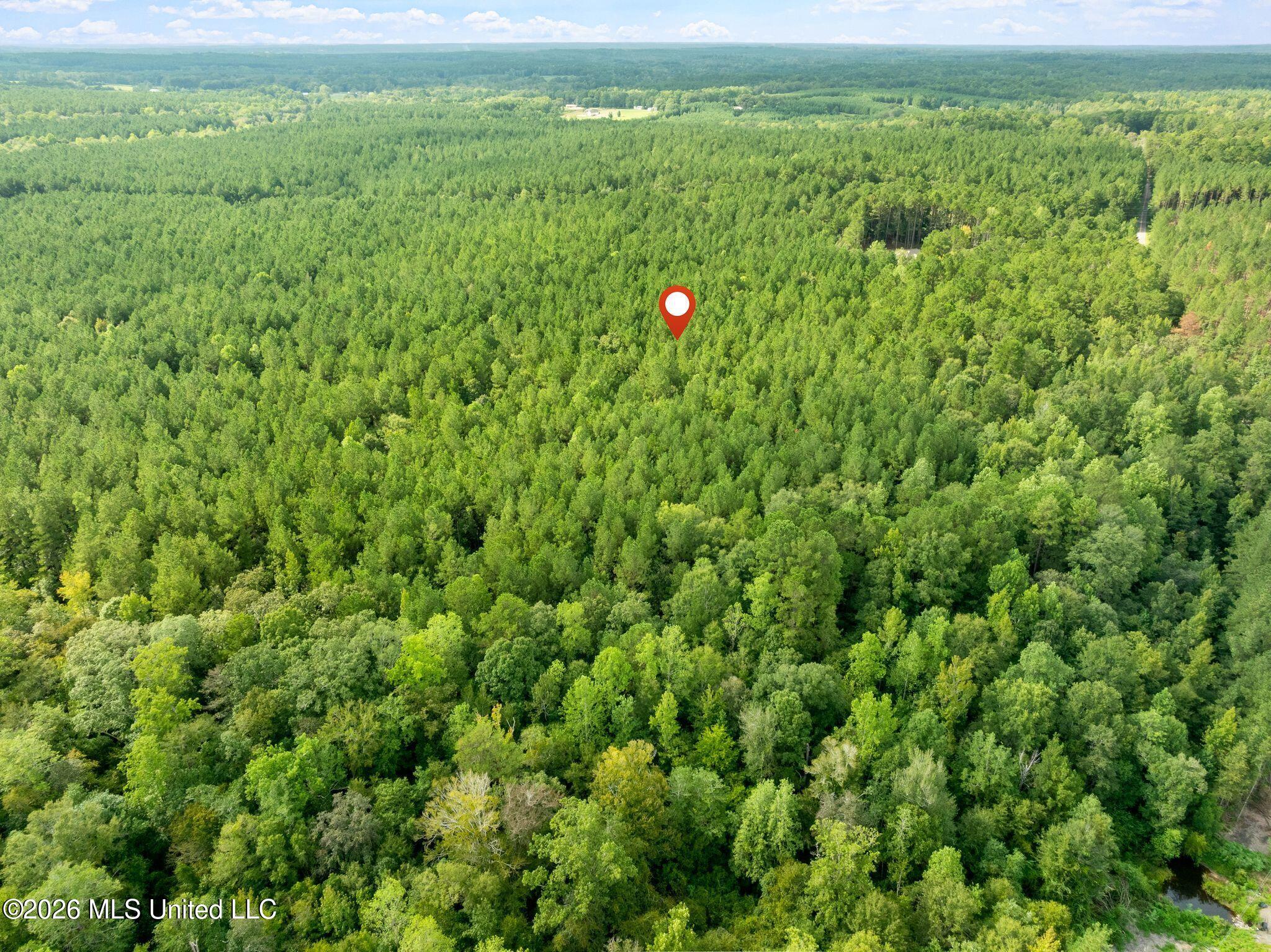 15 Acres Porter Hudson Road Property Photo 11