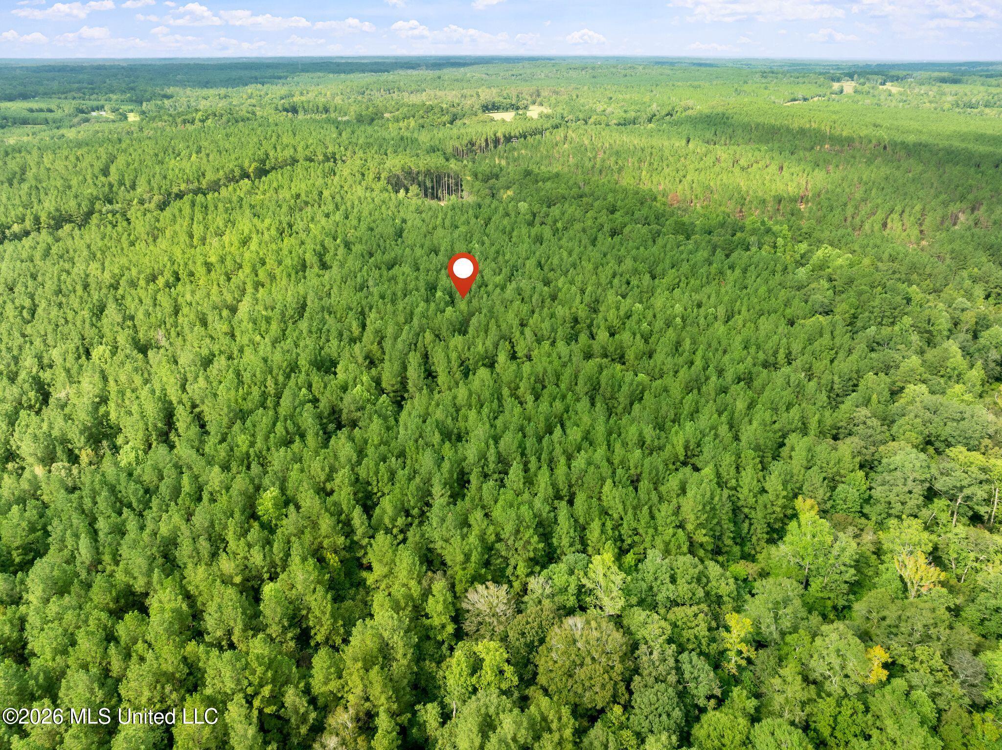 15 Acres Porter Hudson Road Property Photo 12