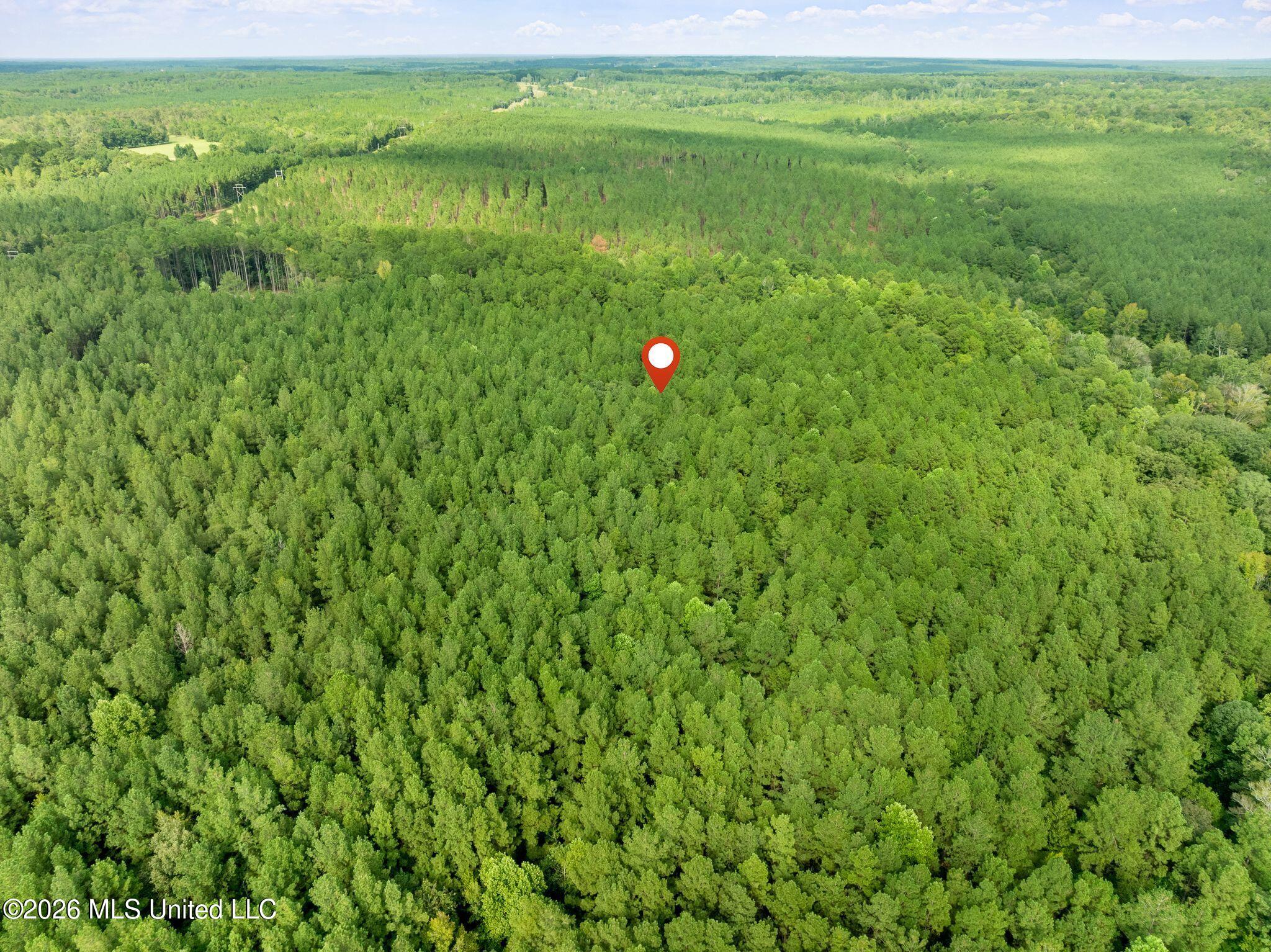 15 Acres Porter Hudson Road Property Photo 13