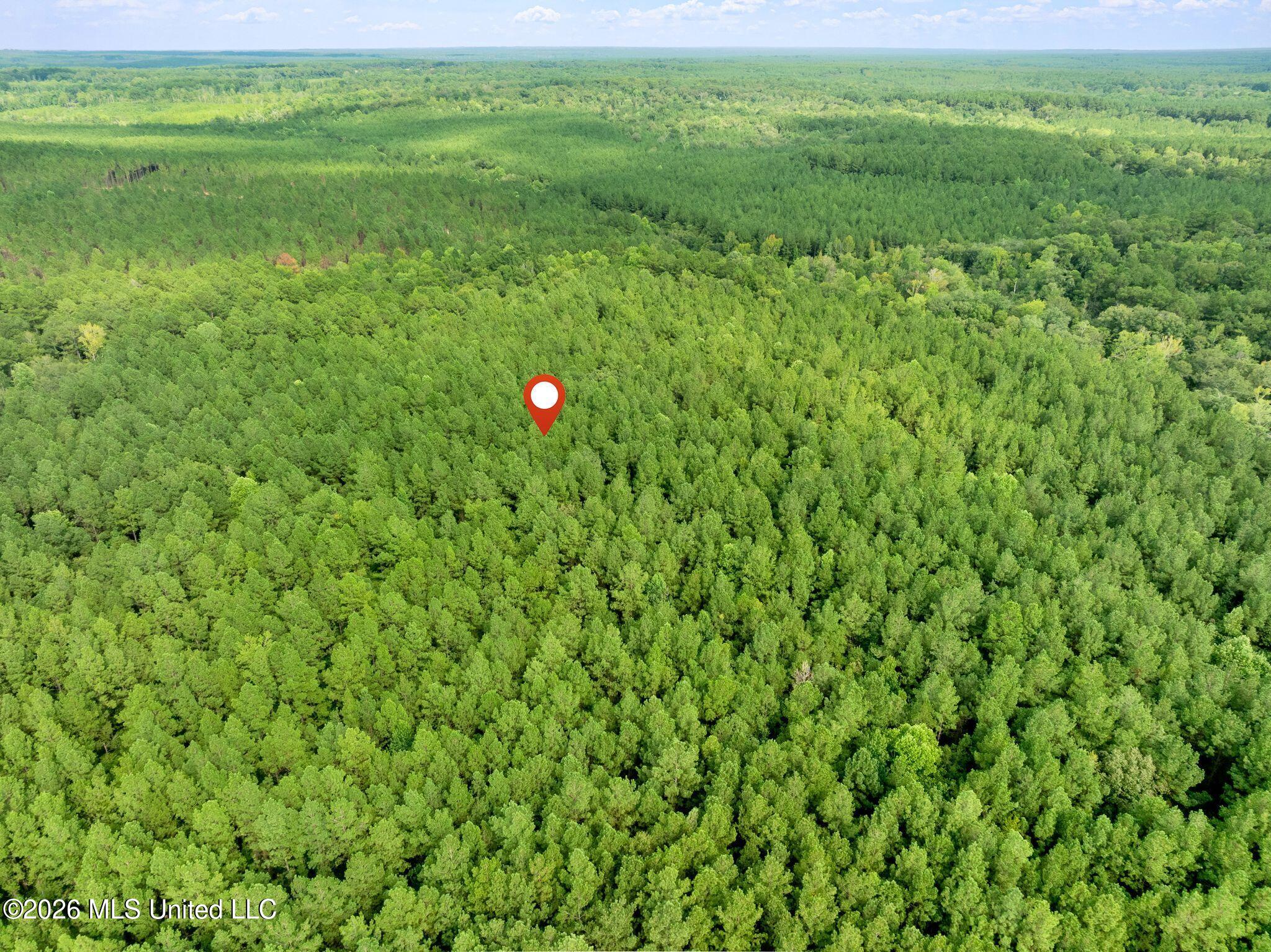 15 Acres Porter Hudson Road Property Photo 14