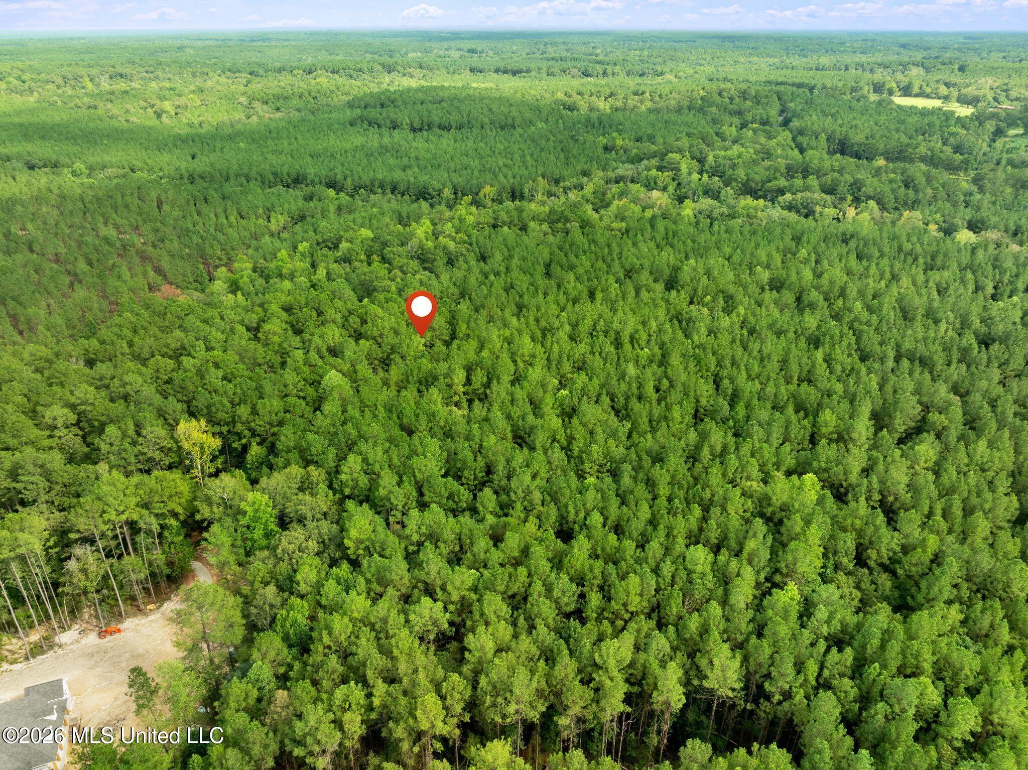 15 Acres Porter Hudson Road Property Photo 15