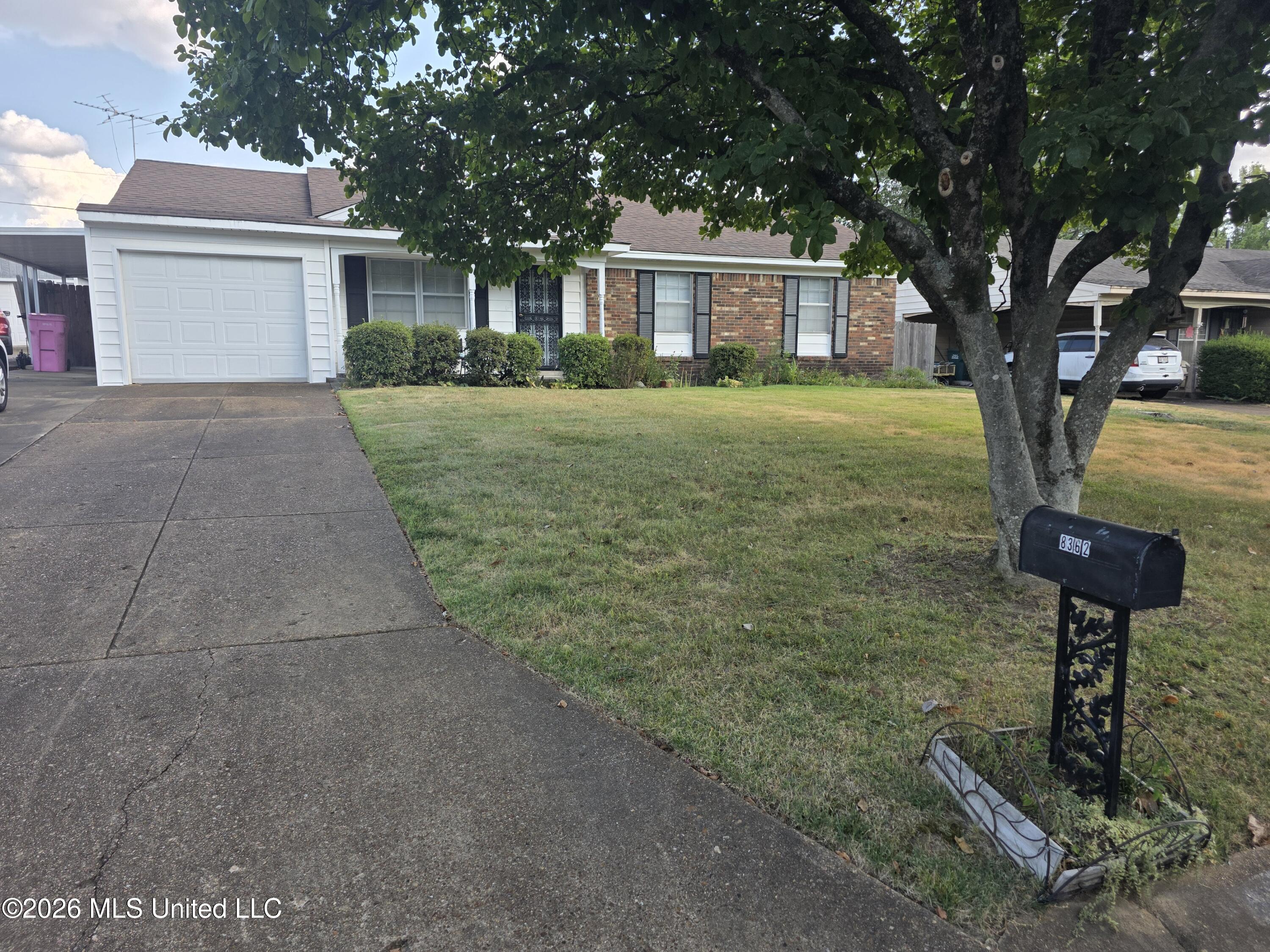 8362 Laurett Cove Property Photo 2