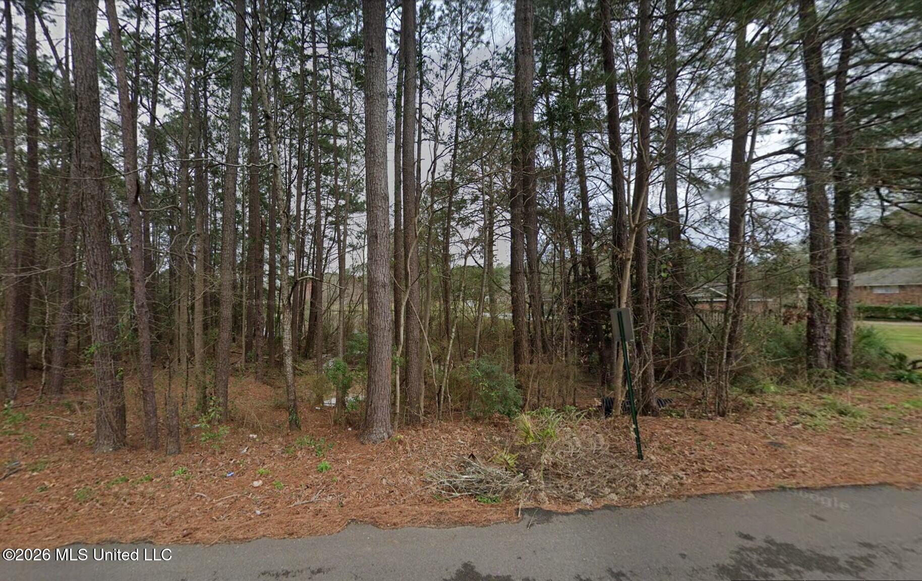 115 W Lakeside Drive Property Photo 2