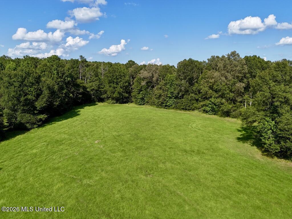 0057 Monticello Road Property Photo 4