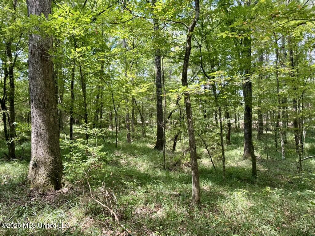0057 Monticello Road Property Photo 5