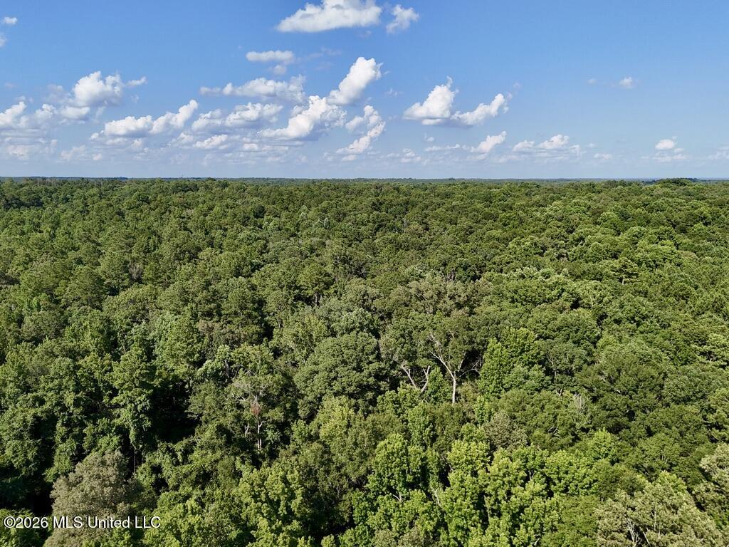 0057 Monticello Road Property Photo 6
