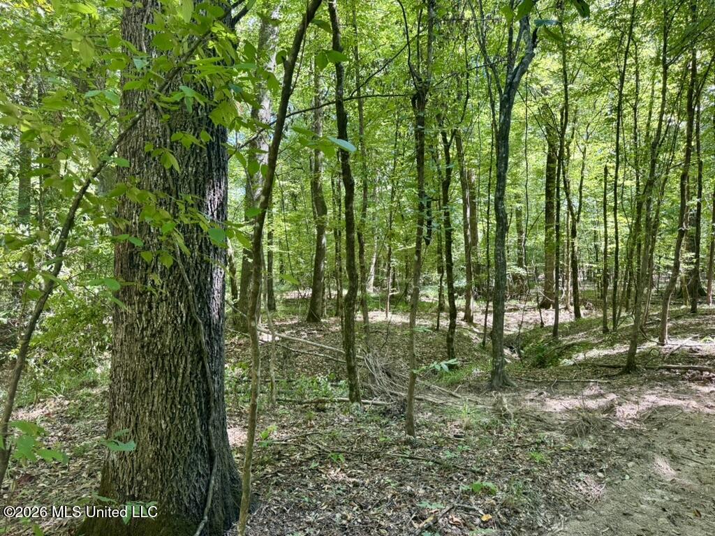 0057 Monticello Road Property Photo 7