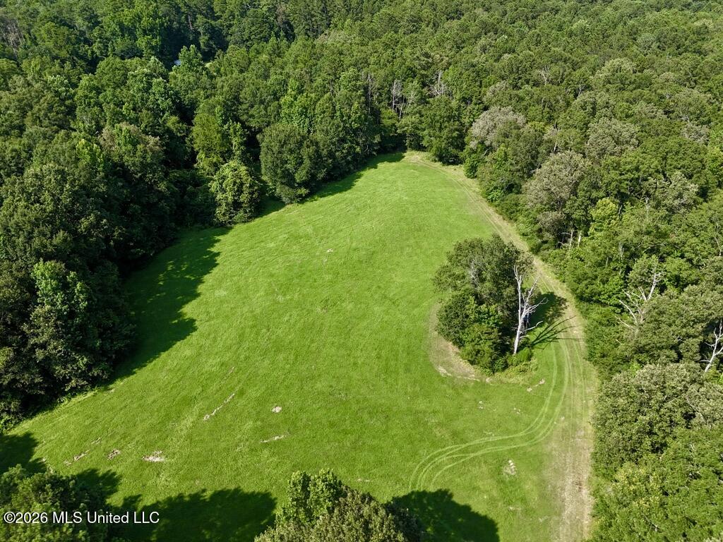 0057 Monticello Road Property Photo 8