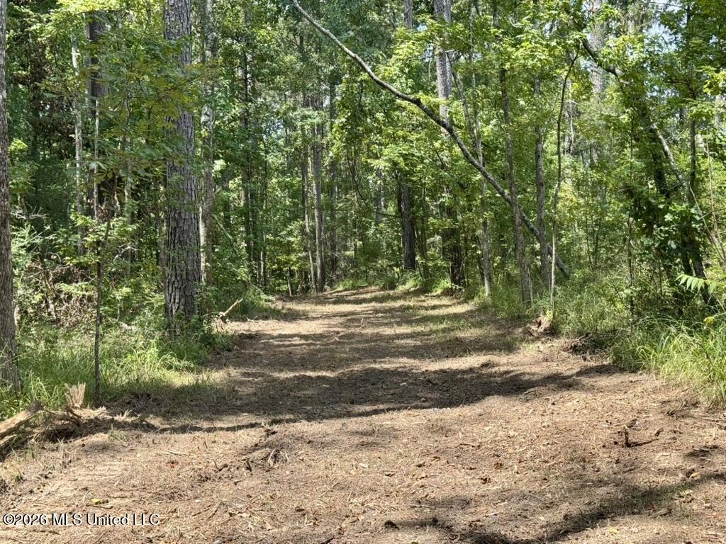 0057 Monticello Road Property Photo 10