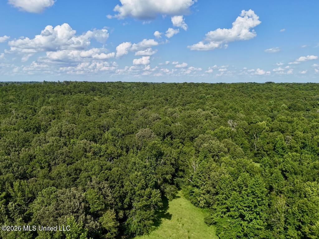 0057 Monticello Road Property Photo 11
