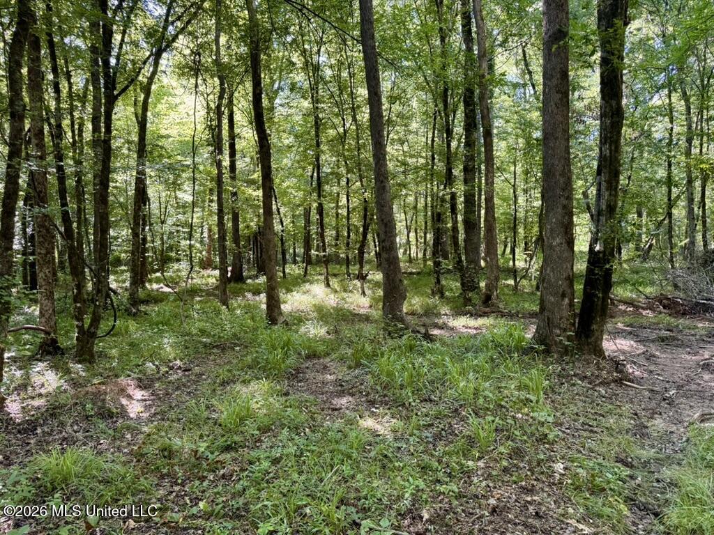 0057 Monticello Road Property Photo 12
