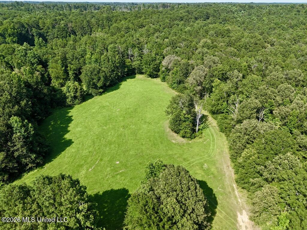 0057 Monticello Road Property Photo 13