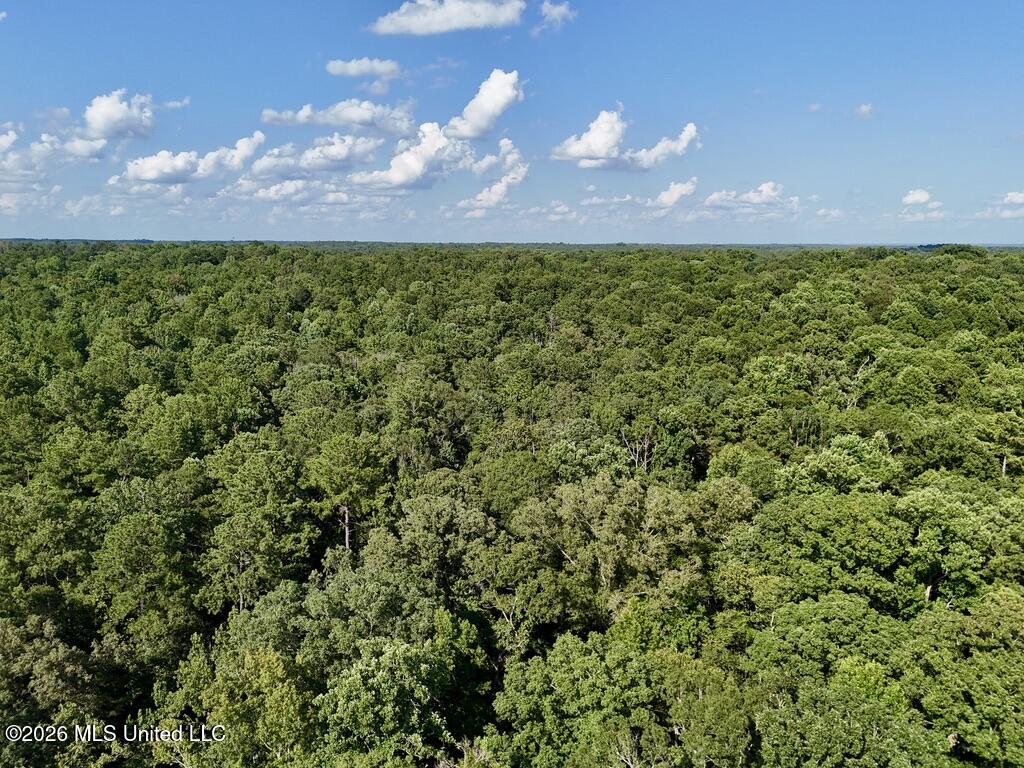 0057 Monticello Road Property Photo 14