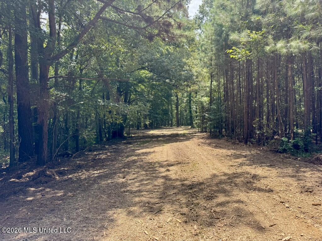0057 Monticello Road Property Photo 15