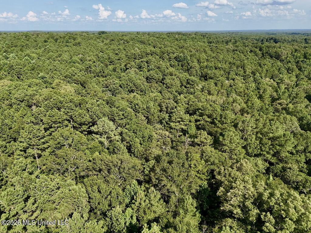 0057 Monticello Road Property Photo 18