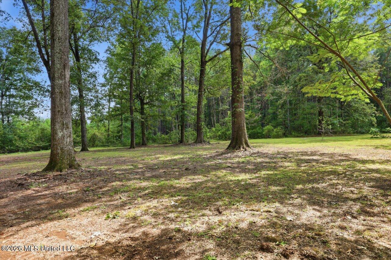 301 Maple Street Property Photo 4