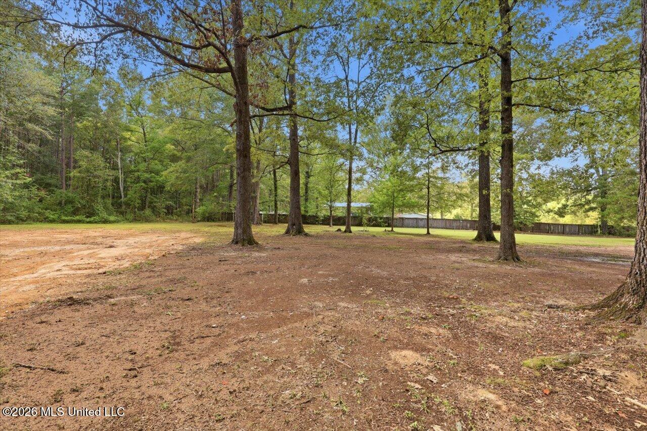 301 Maple Street Property Photo 5