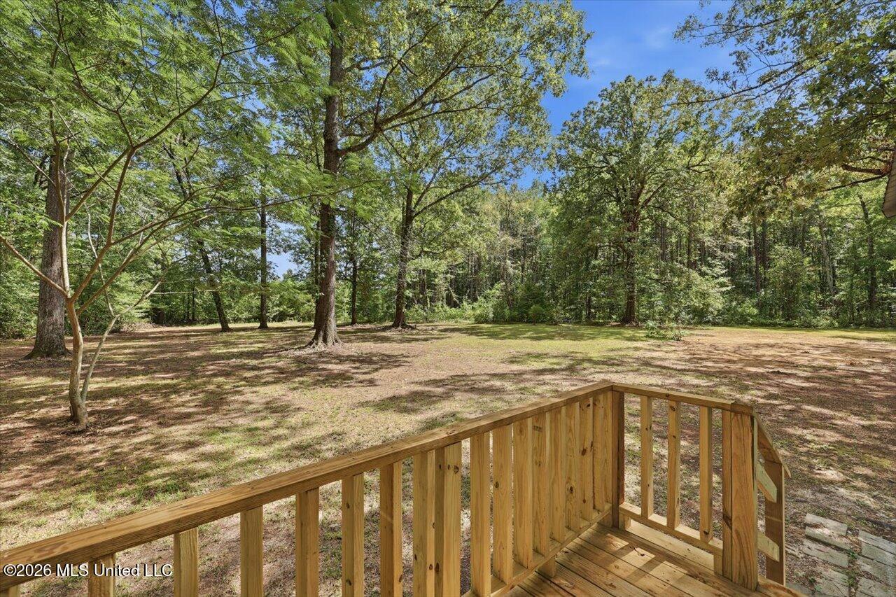 301 Maple Street Property Photo 6