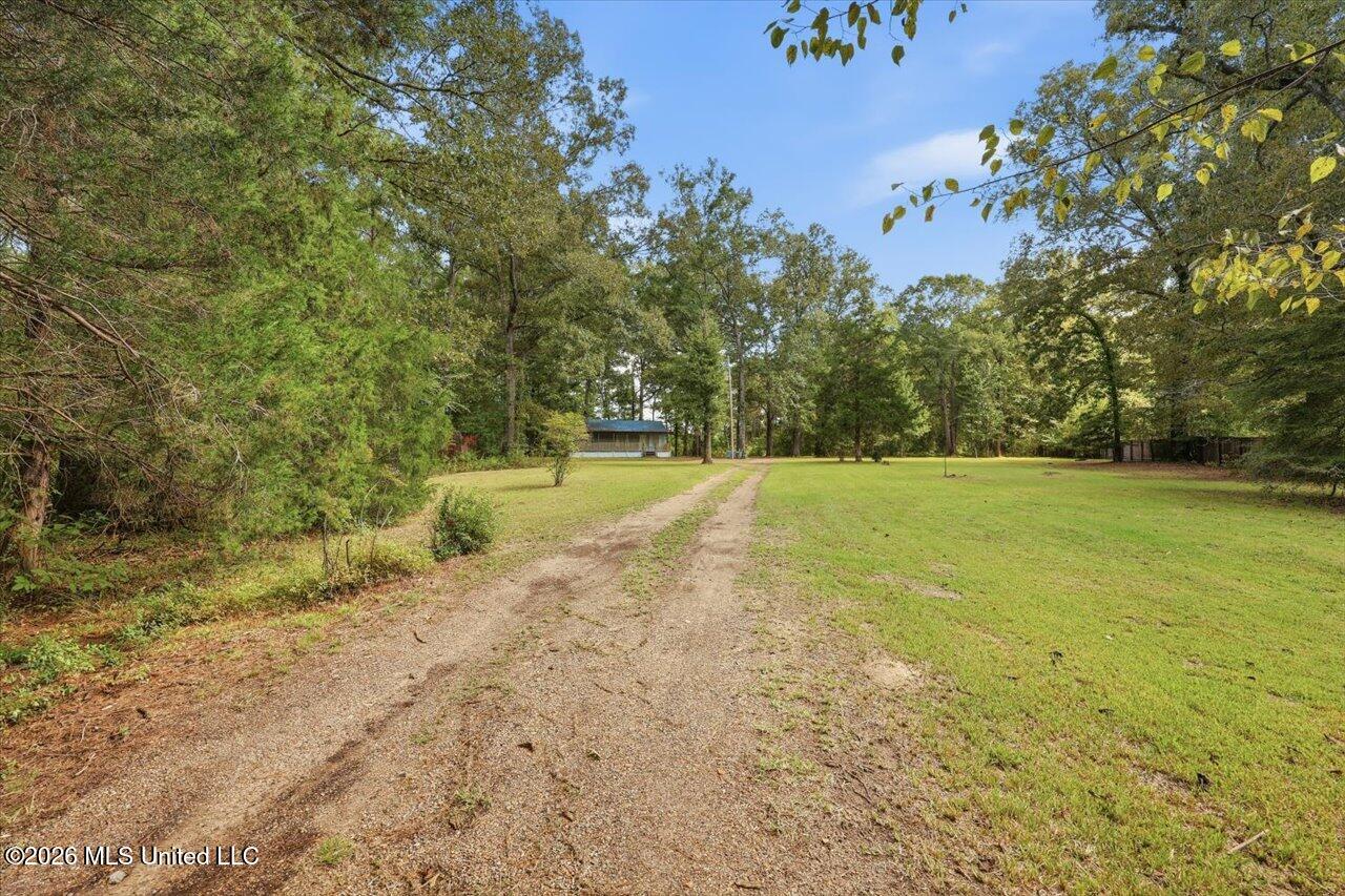 301 Maple Street Property Photo 29