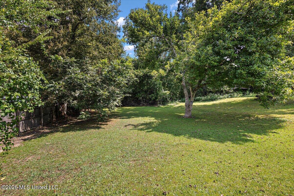 512 George Street Property Photo 21