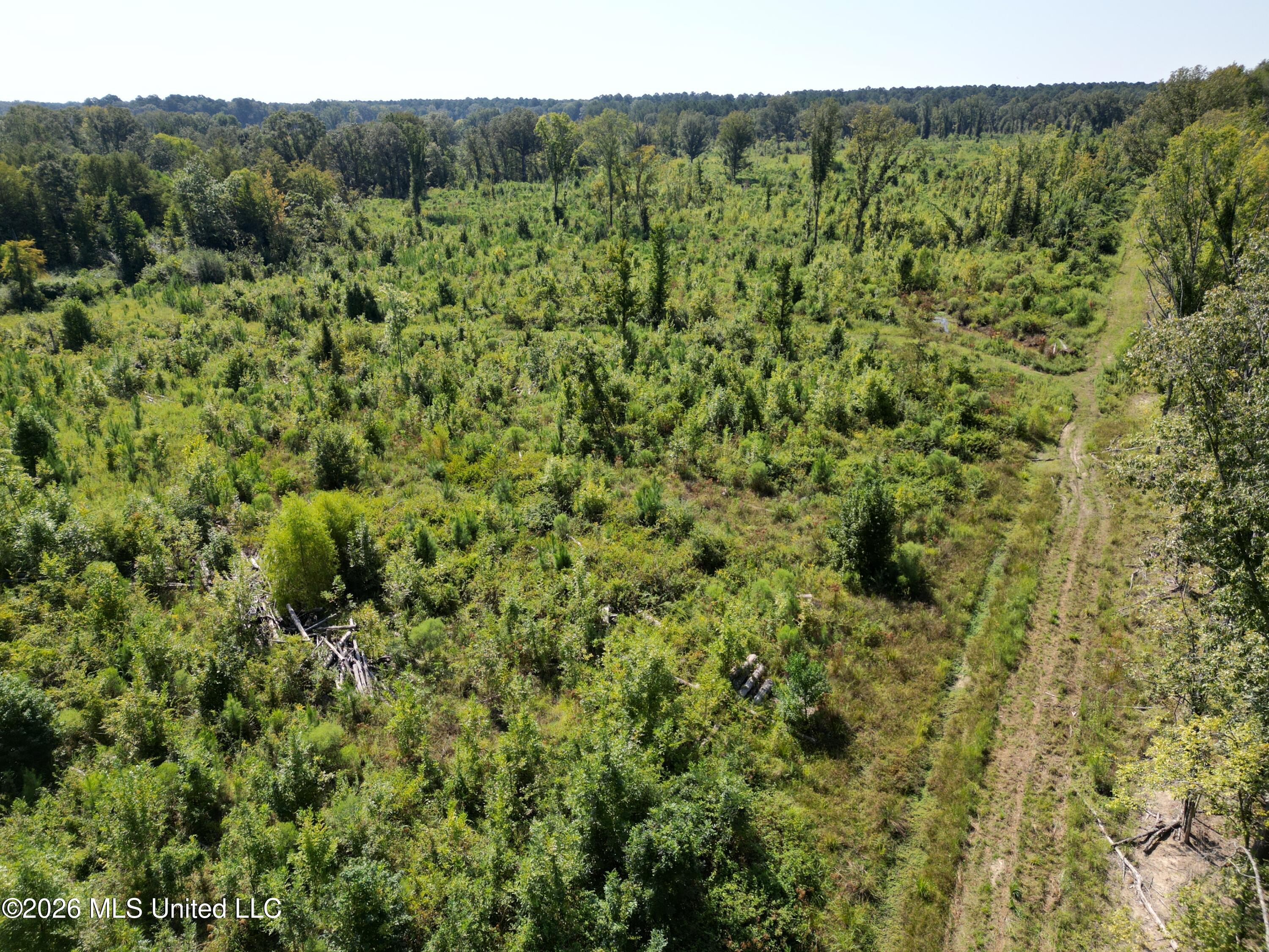 0 E Doc Clark Road Property Photo 1
