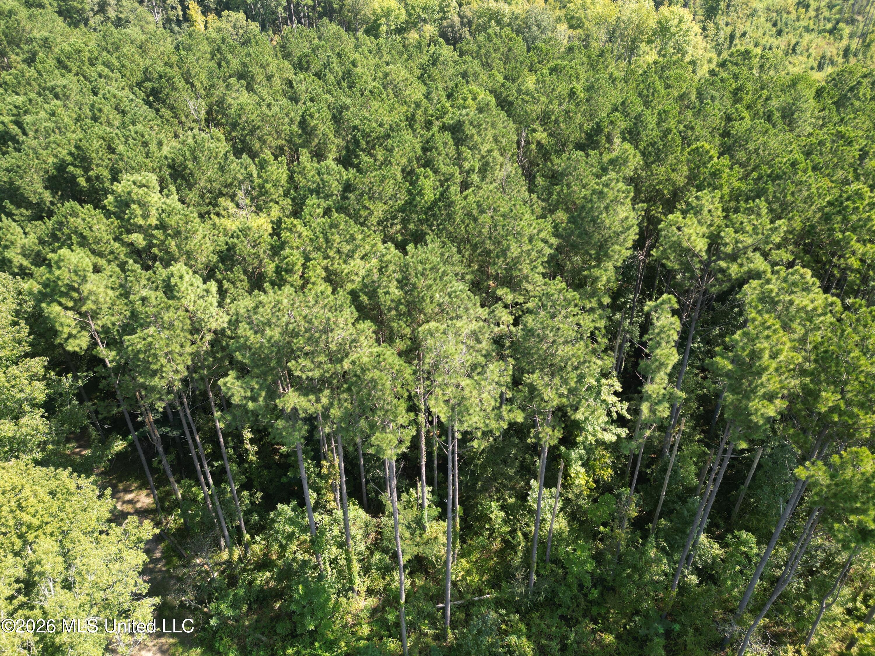 0 E Doc Clark Road Property Photo 2
