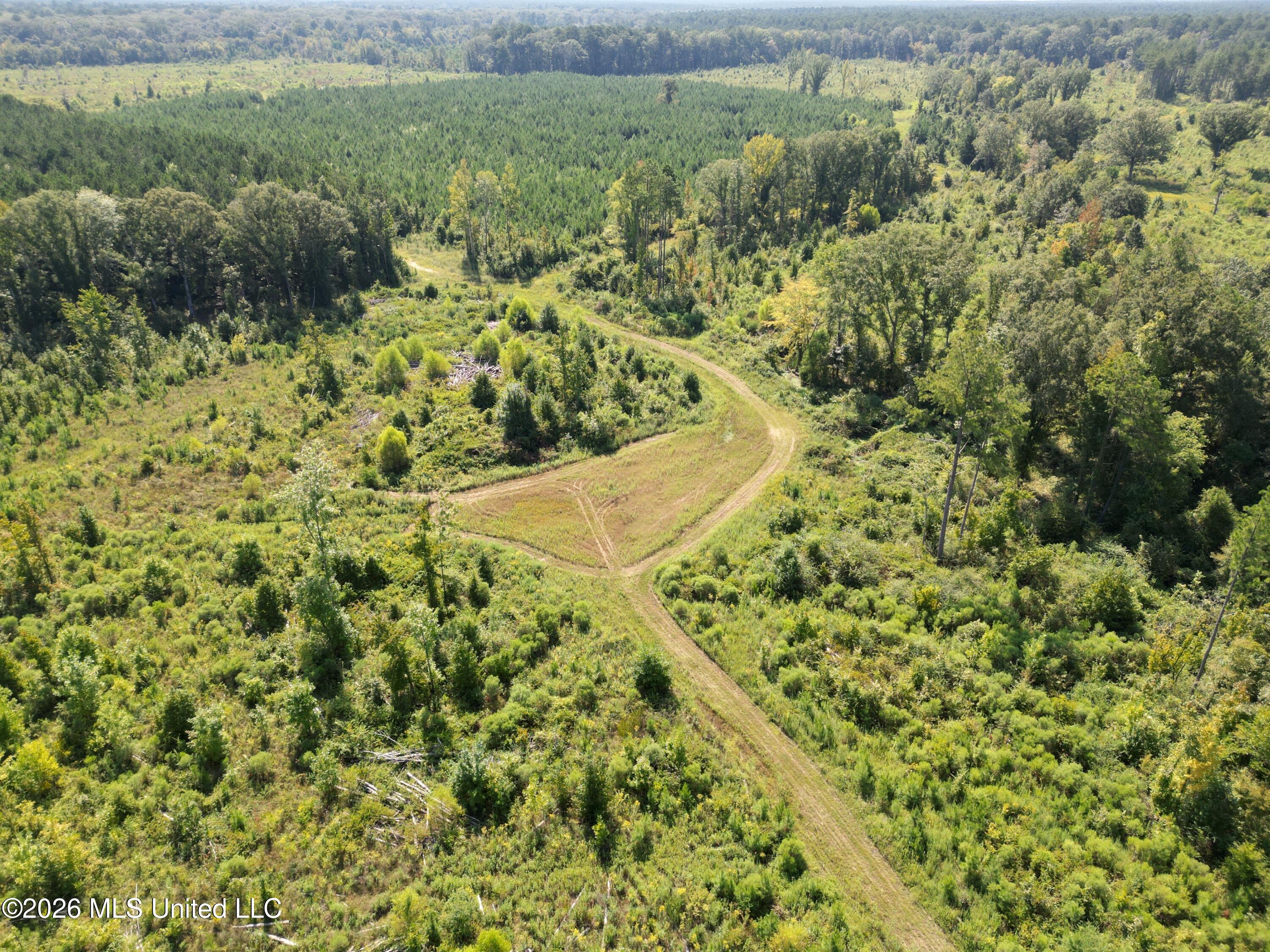 0 E Doc Clark Road Property Photo 6