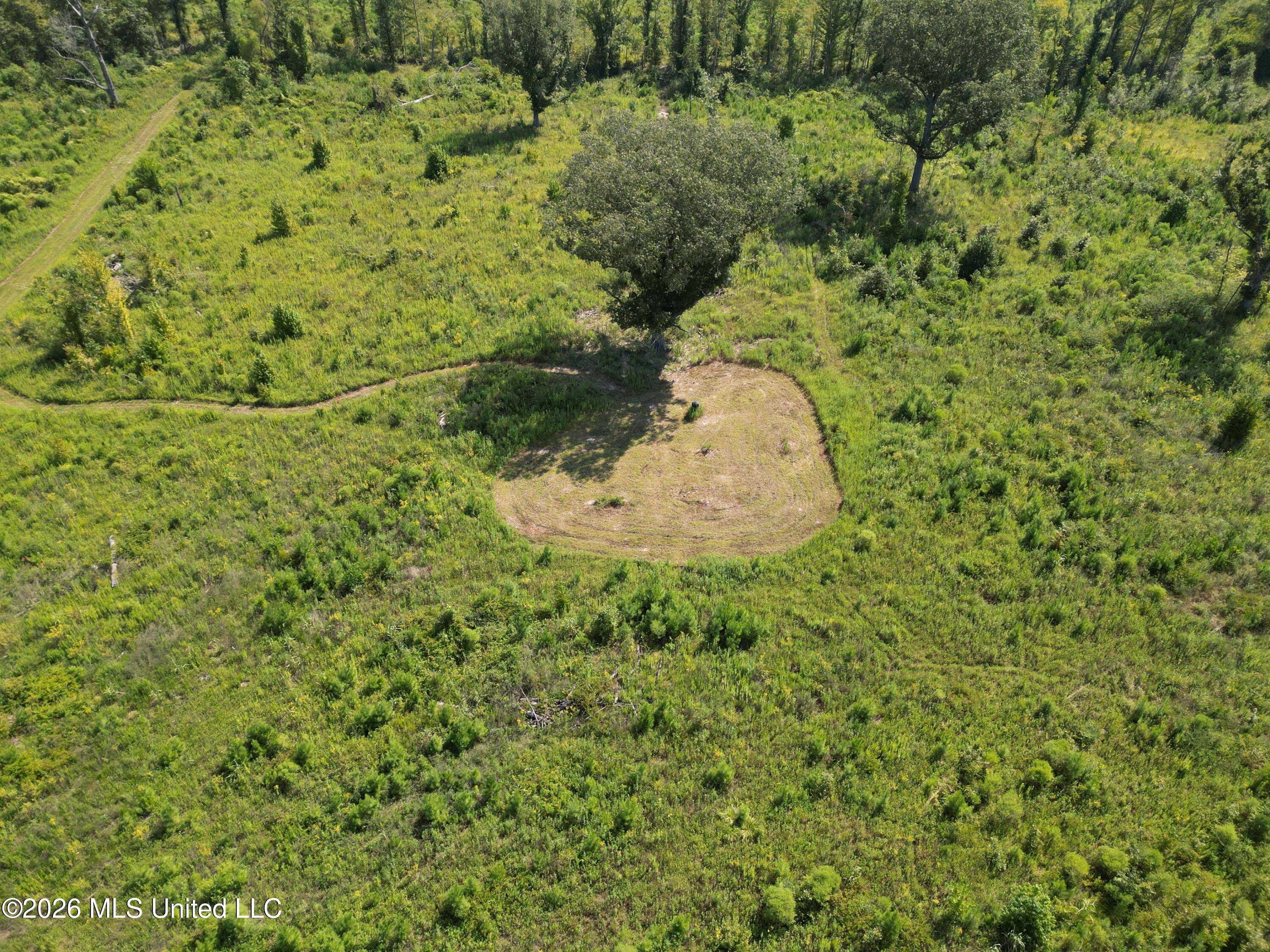 0 E Doc Clark Road Property Photo 8