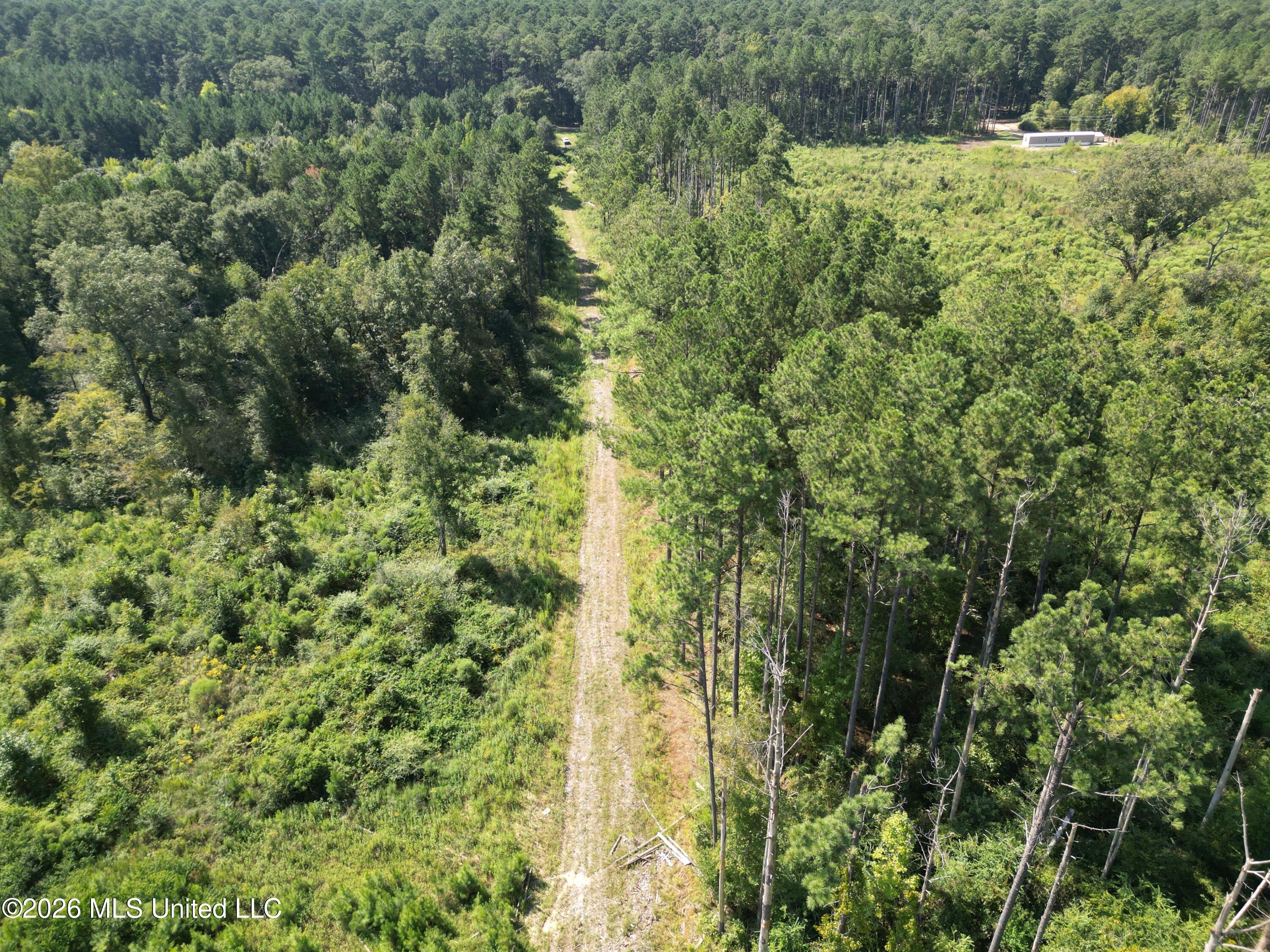 0 E Doc Clark Road Property Photo 9