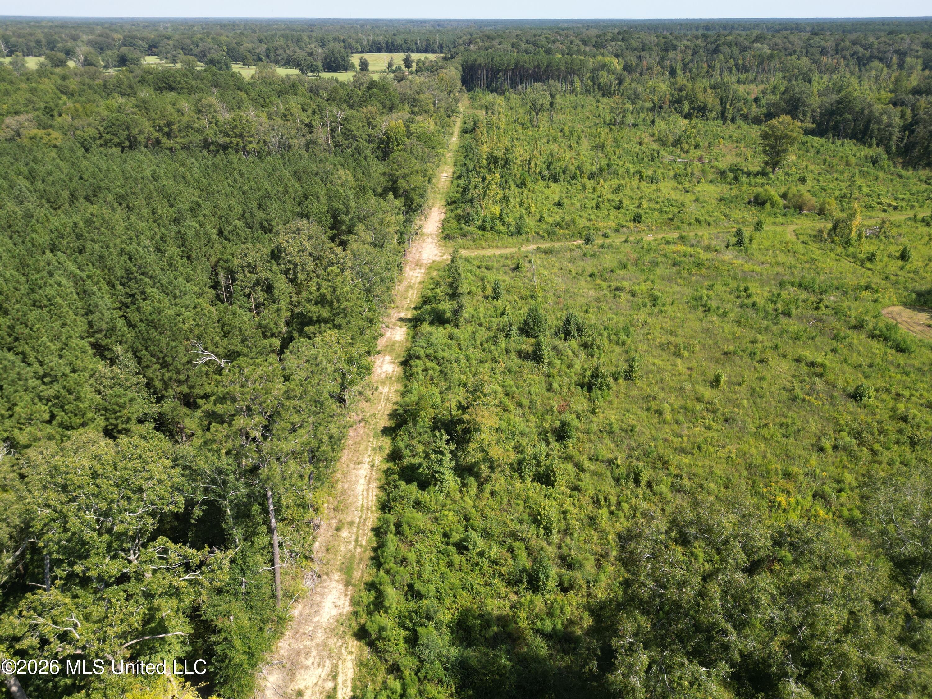 0 E Doc Clark Road Property Photo 10