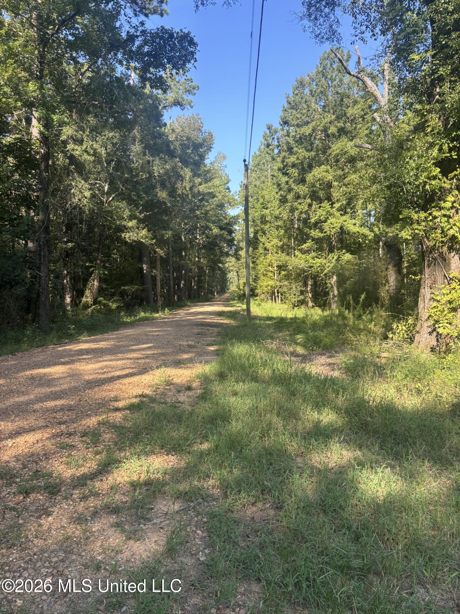 0 E Doc Clark Road Property Photo 11
