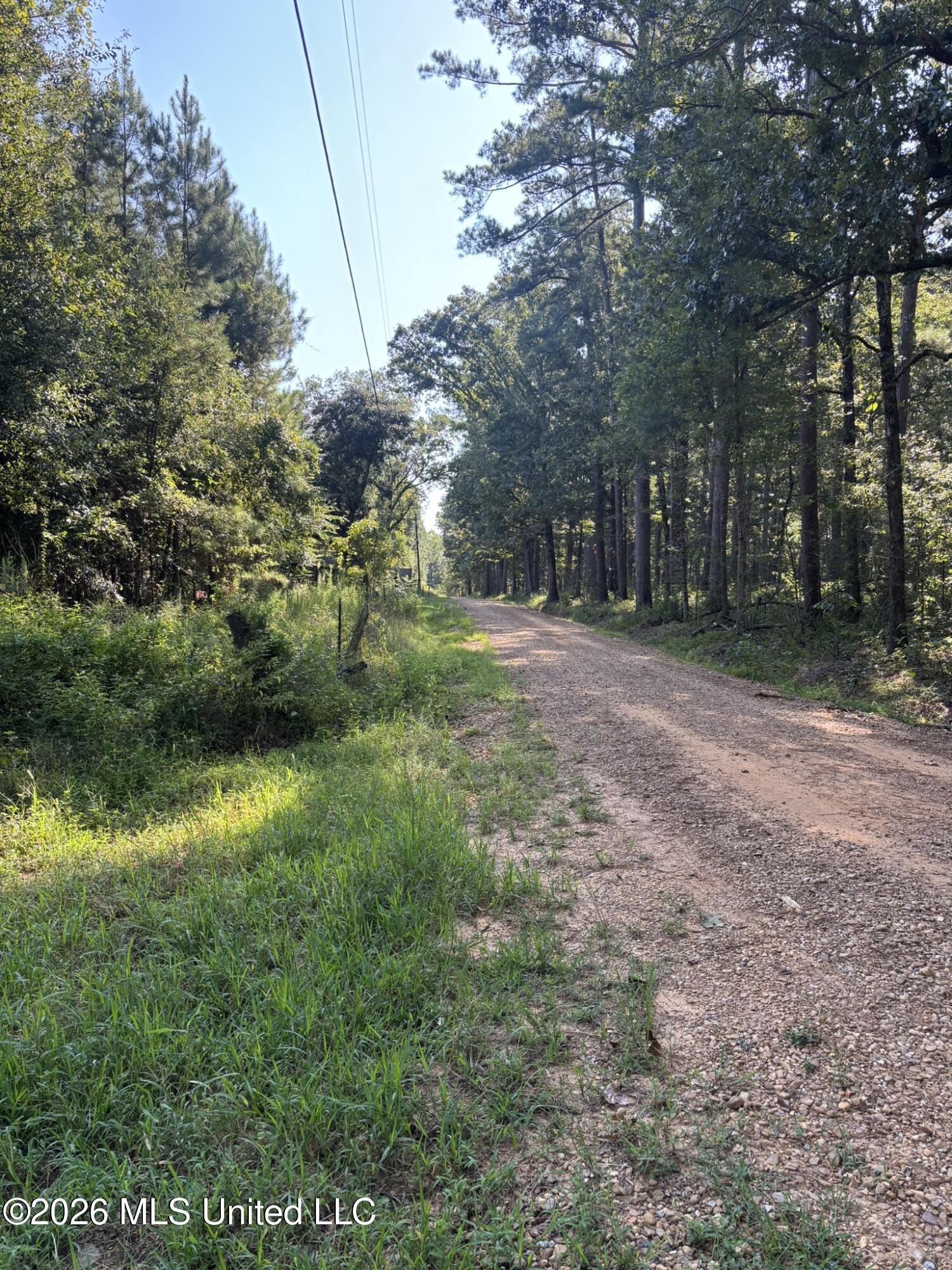 0 E Doc Clark Road Property Photo 12